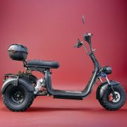Электротрицикл Citycoco Pro Trike 3000 New