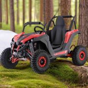 Электроквадроцикл SFmoto F12 VIP 1200